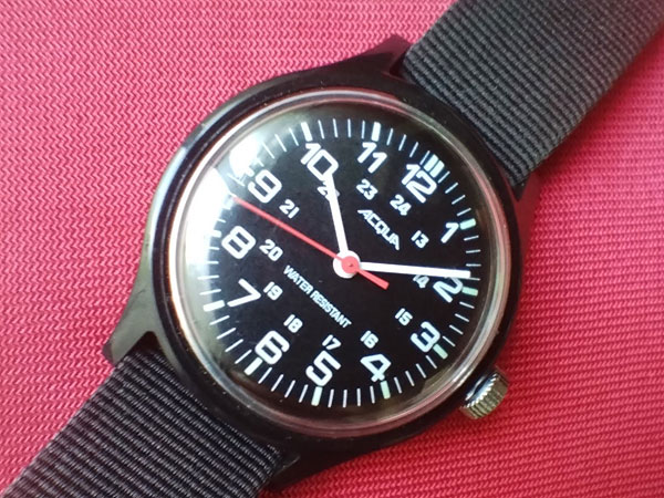 タイメックスTimex TideTempCompass★wena3 rubber接続キット