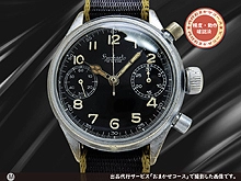 ハンハルト ドイツ海軍 フリーガ